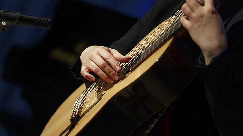 В Петербурге изъяли музыкальные инструменты у уличных артистов-нарушителей