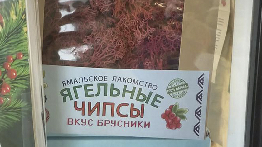 На Ямале начнут выпуск уникальных чипсов из ягеля