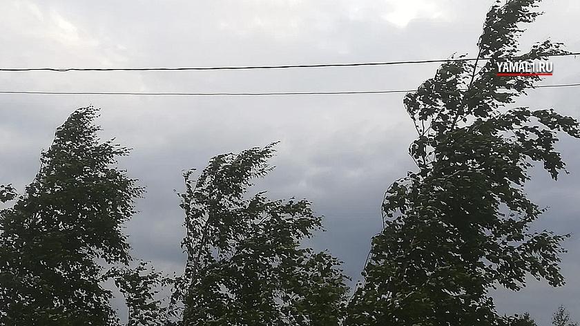 В Надымском и Пуровском районе ожидается ураганный ветер 
