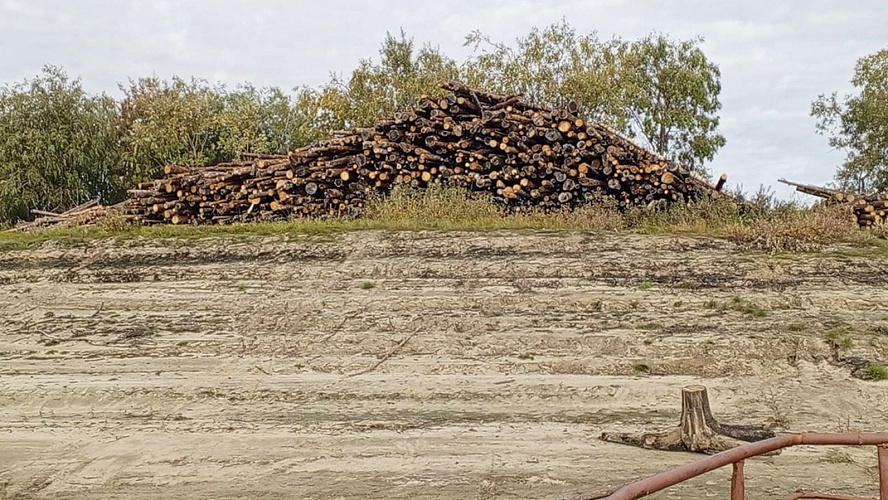 Фото: Тазовский район. Официально.
