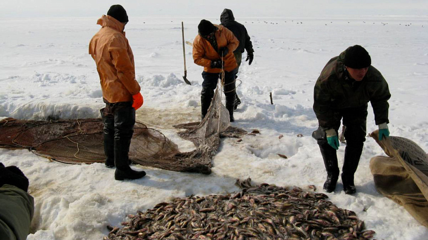 С начала года промысловые предприятия Ямала выловили более 720 тонн рыбы