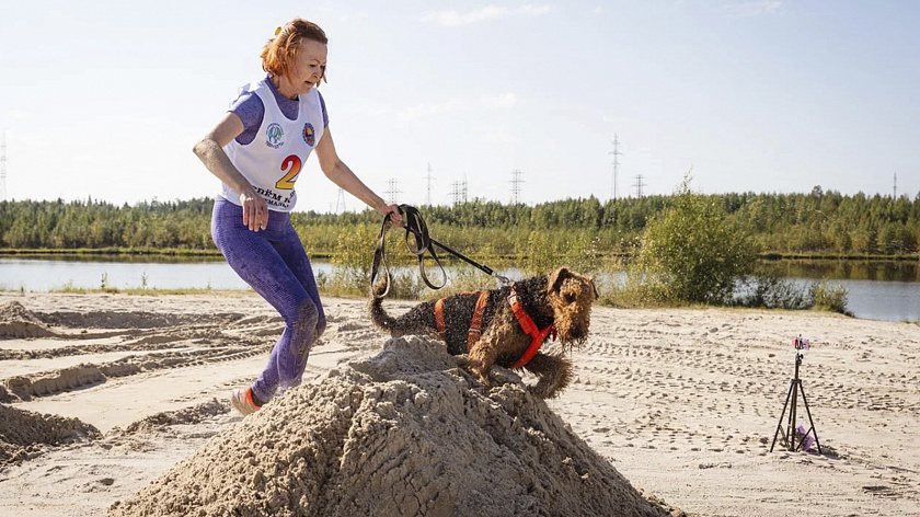 Более 90 команд приняли участие в экстремальных гонках с собаками в Ноябрьске