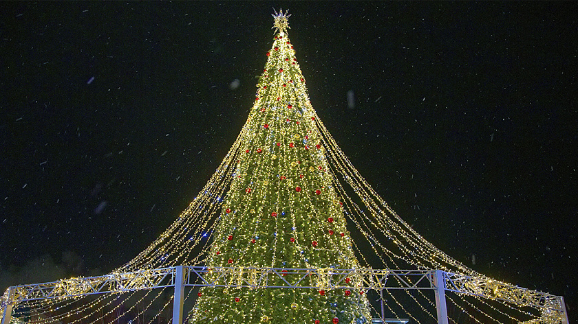 В Петербурге у станции метро «Юго-Западная» установили новогоднюю ель