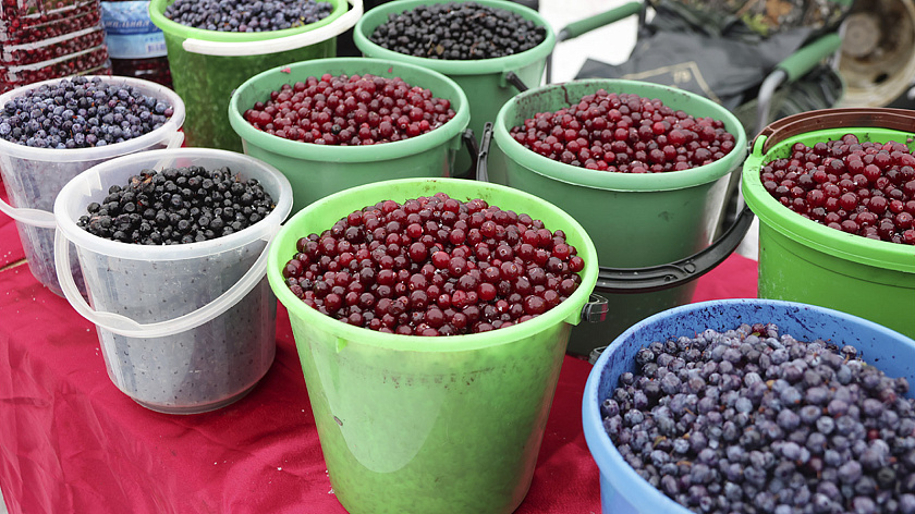 Предновогоднюю ярмарку в Салехарде перенесли на новую локацию
