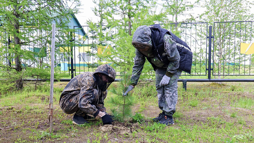 Фото: Telegram | Дмитрий Жаромских
