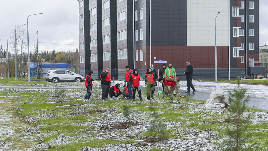 Фото: Tелеграм | Лабытнанги + Харп