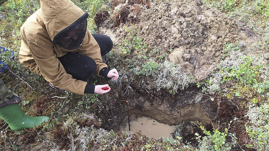 Фото: ВКонтакте | Департамент природных ресурсов ЯНАО