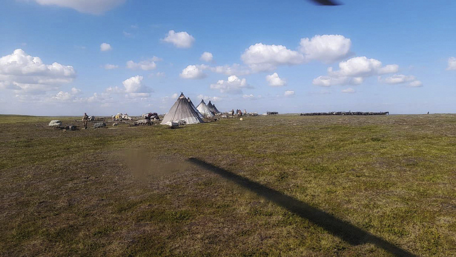 Фото: Tелеграм | Доктор DAA