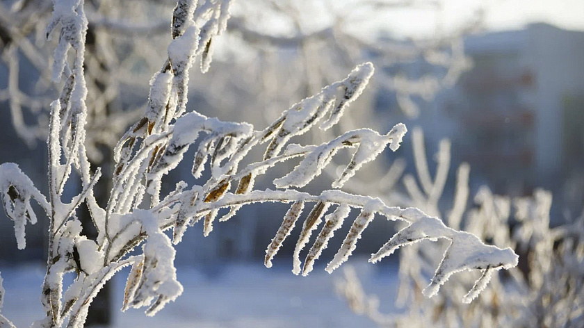 Рабочая неделя на Ямале начнется с экстремальных морозов