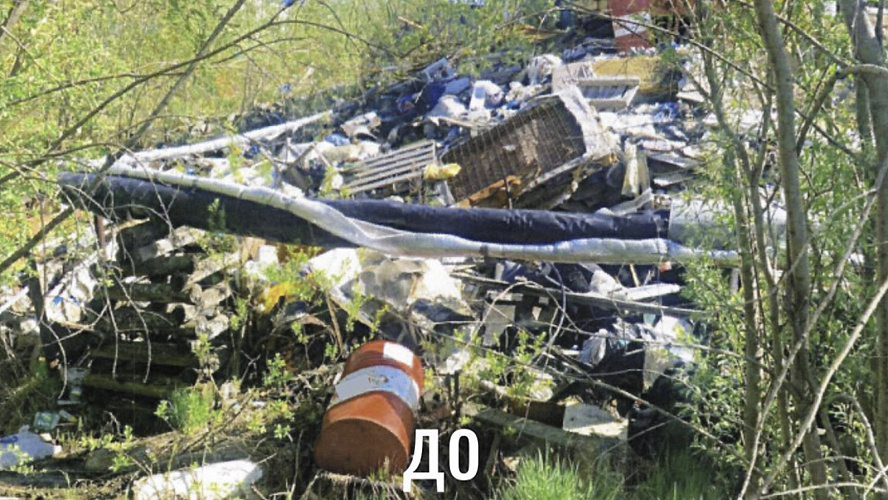 Фото: Tелеграм | Департамент природных ресурсов ЯНАО