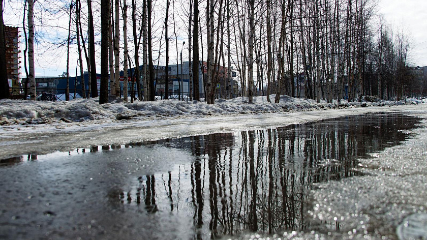 Понедельник на Ямале: плюсовая температура и осадки