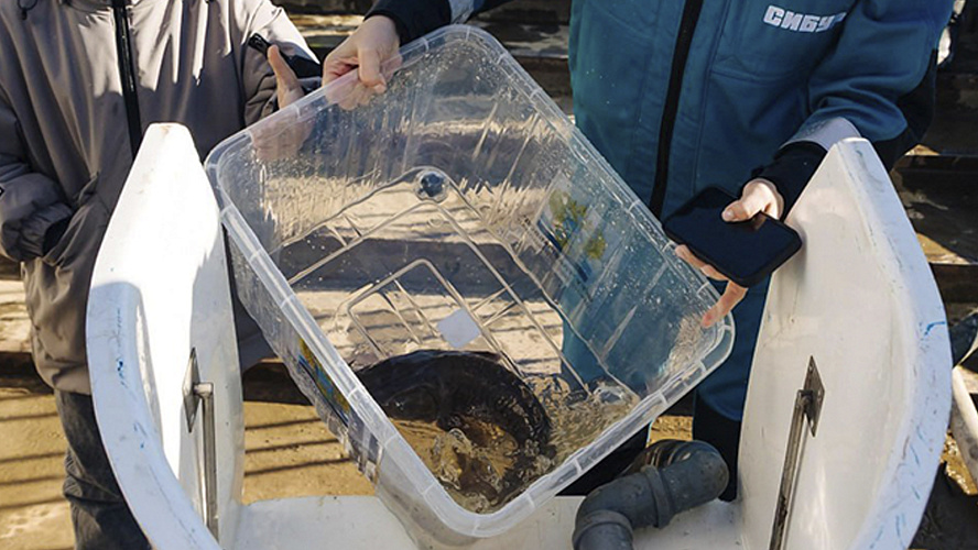 Фото: Telegram | Югра Z Официально