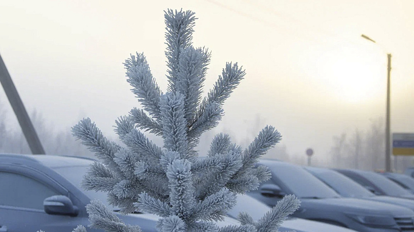 Водители Нижневартовска выстроились в 70-метровую автоёлку
