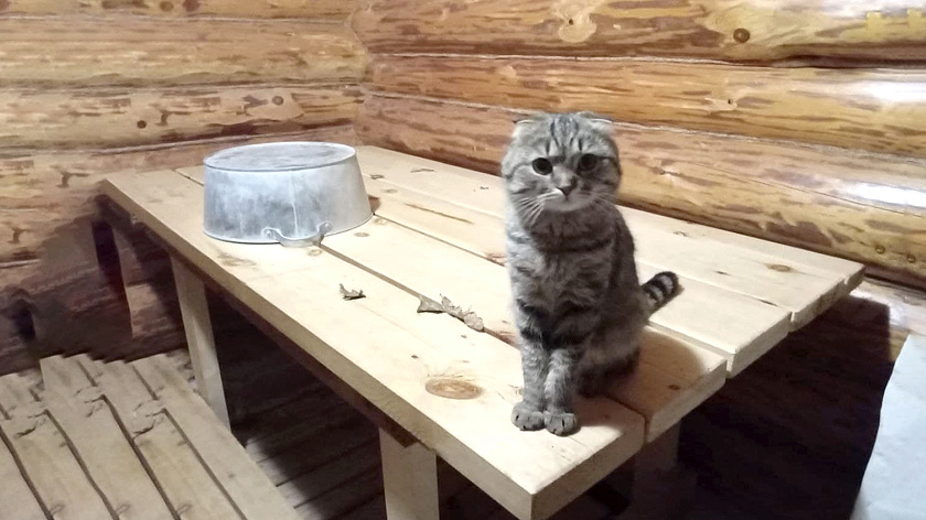 Надымчане пожаловались на высокую стоимость общественной бани