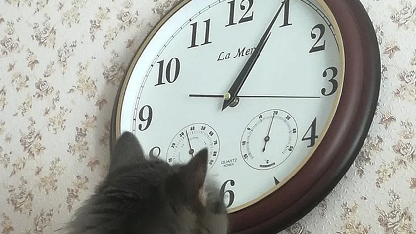 В Югре начал действовать зимний режим комендантского часа для несовершеннолетних