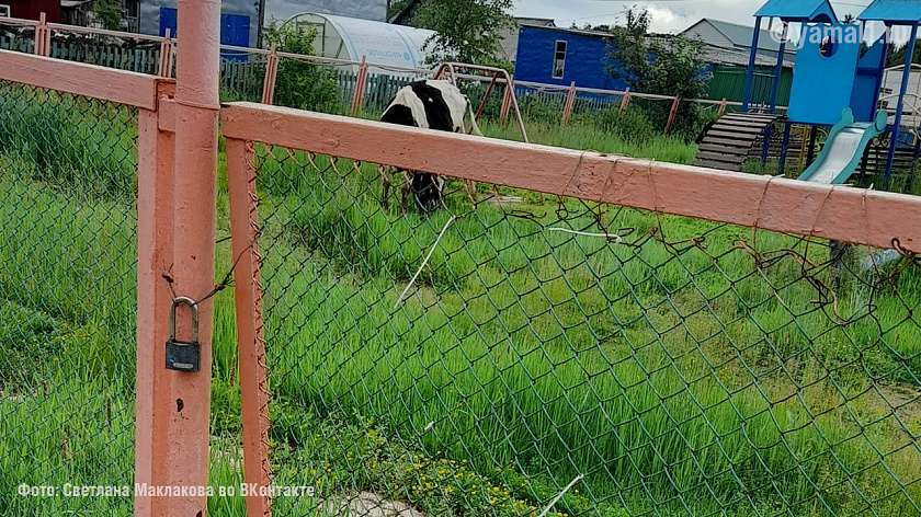 Повесили замок: в ямальском селе закрыли единственную детскую площадку