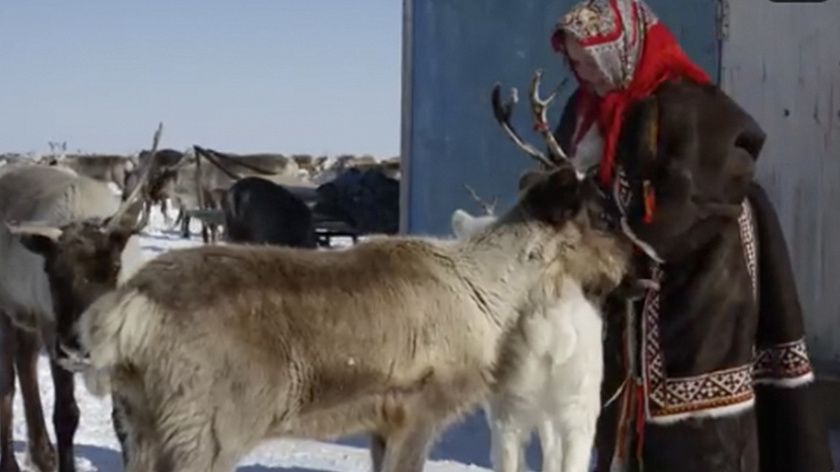 Хранители северных преданий. Девушка, которая потеряла косу