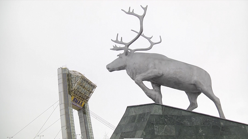 Культурный обмен: студенты МГУ из Китая делятся опытом в Салехарде