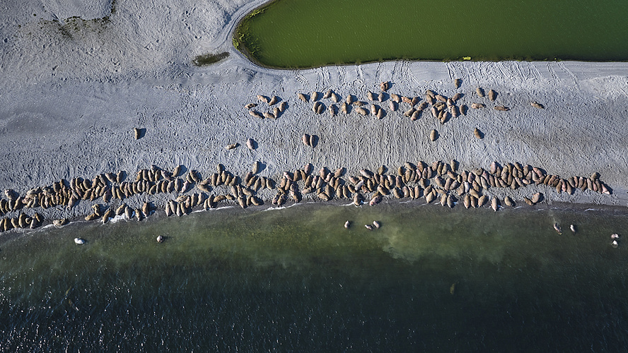 Фото: «Газпром нефть шельф»