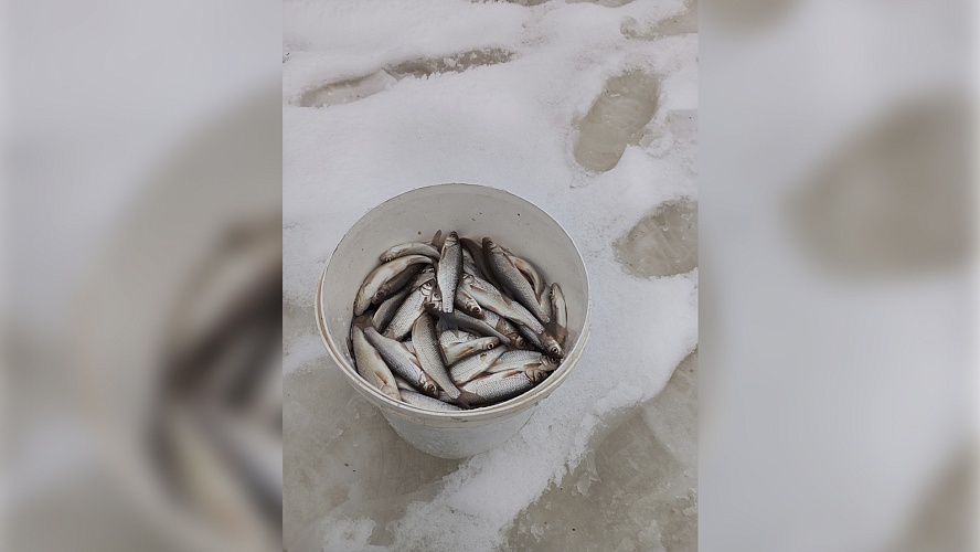 Фото: ВК | Виктор Альчинский