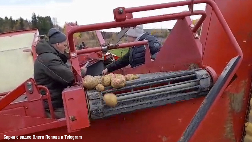 В селе ЯНАО аграрии планируют перевыполнить «картофельный» план. ВИДЕО