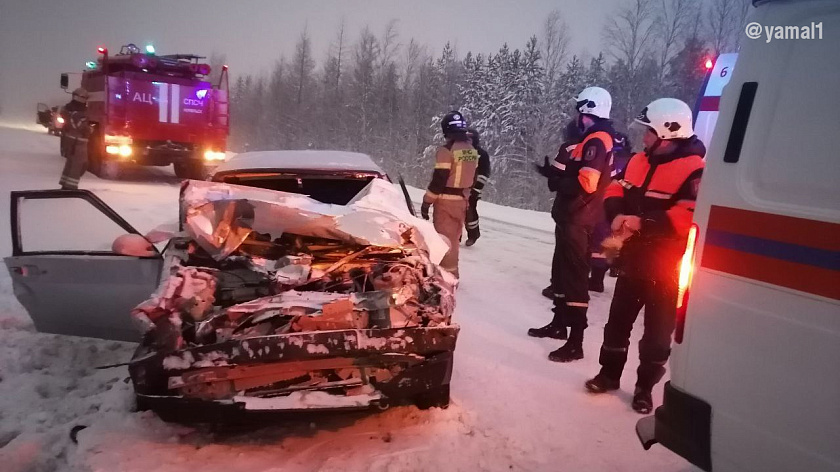 В ДТП с грузовиком под Ноябрьском пострадали два человека. ФОТО