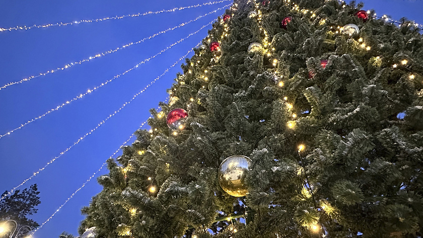Главная елка Ноябрьска засияла огнями