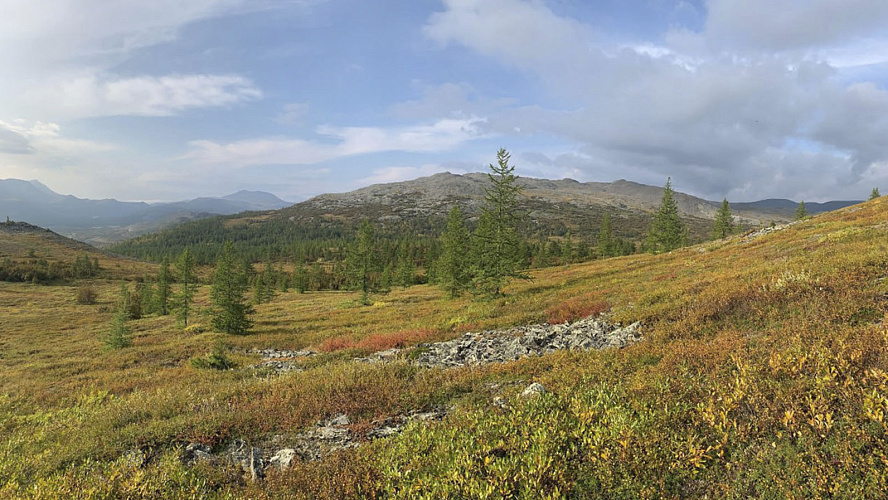 Фото: Институт экологии растений и животных УрО РАН