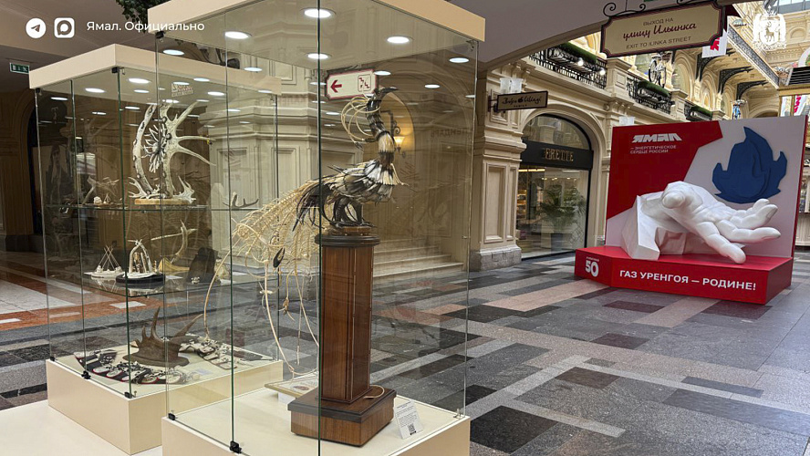 Фото: Telegram | ЯМАЛ. Официально