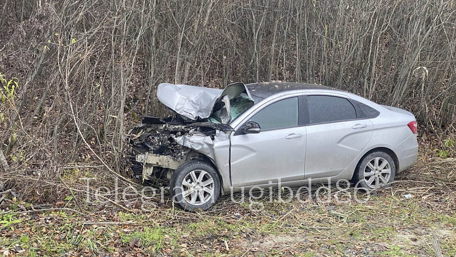 Фото: Госавтоинспекция Югры