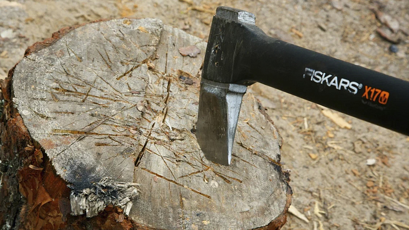 Спутниковые технологии помогут выявить случаи незаконной вырубки леса на Ямале