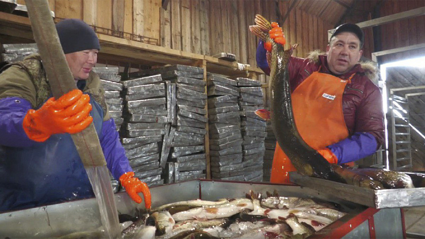 Горковские рыбаки приступили к летнему промыслу