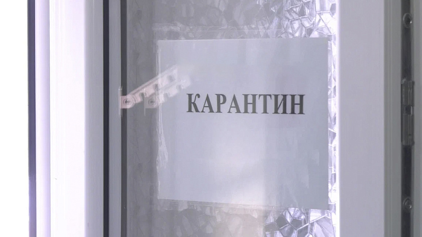 В двух населённых пунктах Тюменской области ввели карантин по бешенству животных