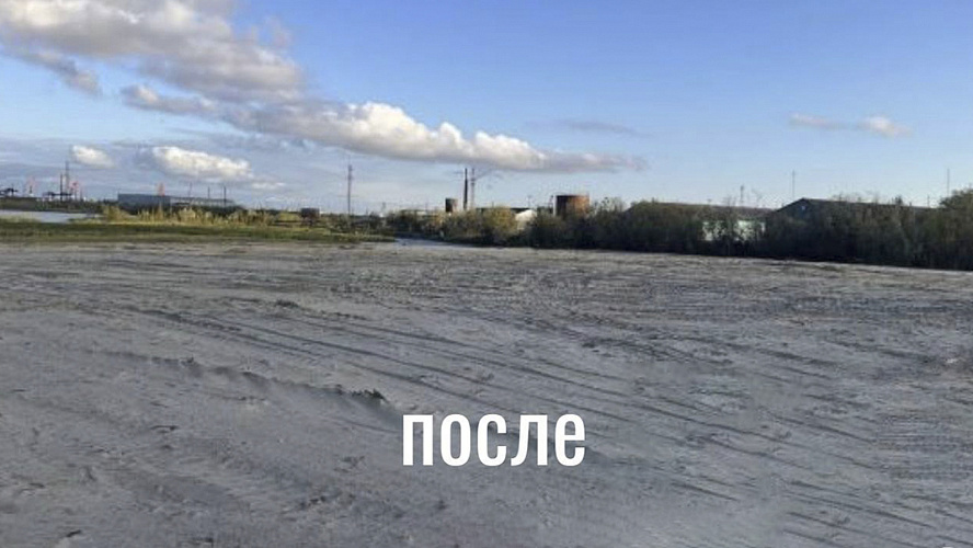 Фото: департамент природных ресурсов ЯНАО