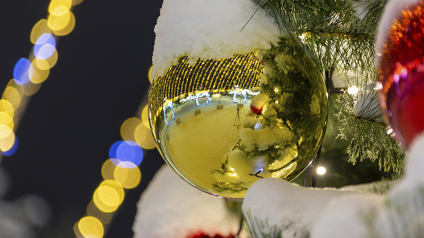 Россияне назвали идеальное празднование Нового года