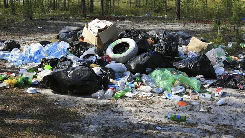 В Пангодах ликвидируют несанкционированные свалки