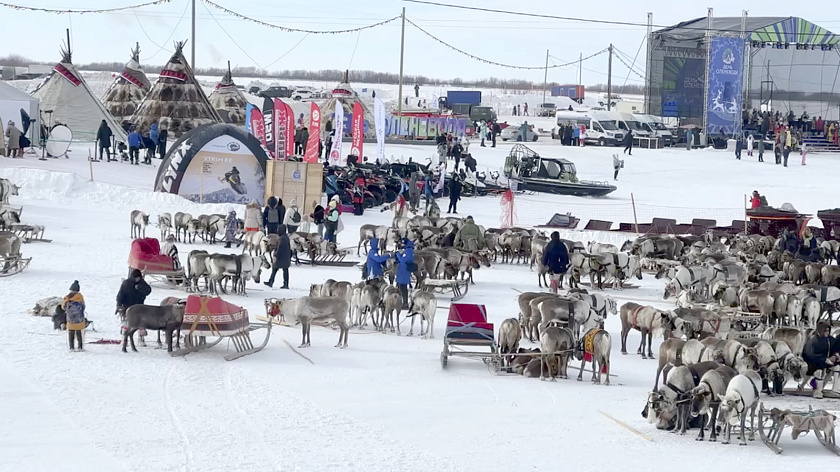 В Салехарде кочевники борются за победу в День оленевода