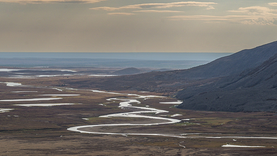 Фото: Казаков | ВКонтакте | Администрация города Лабытнанги