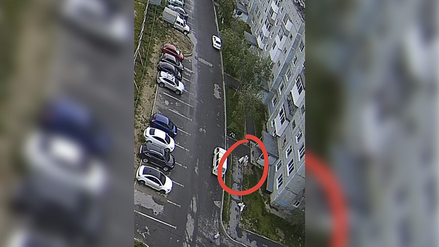 Фото: Telegram | Городское хозяйство НУР