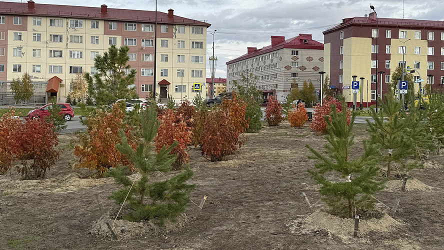 Фото: Департамент тарифной политики,энергетики и ЖКХ ЯНАО