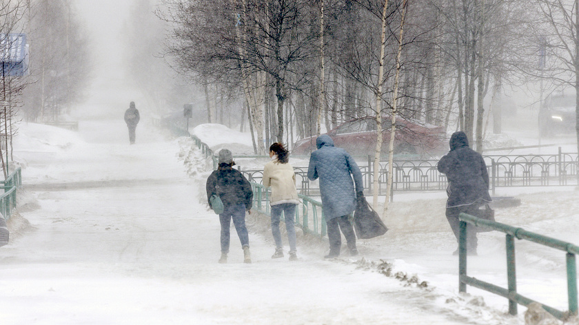 Мокрый снег и сильный ветер накроет Свердловскую область 25 ноября