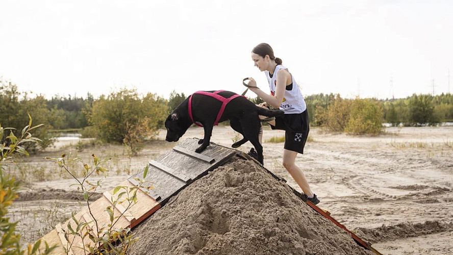 Фото: Telegram | Ноябрьск. Официально