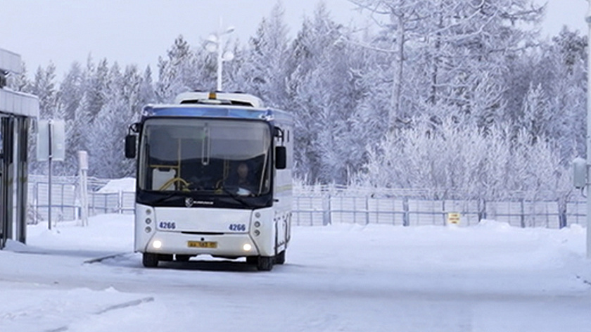 Бесплатный автобус из Лабытнанги до Аксарки запустят в День оленевода 