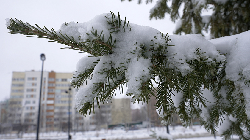 Московский район Внуково вошел в топ-5 мест на Земле по суточному количеству осадков