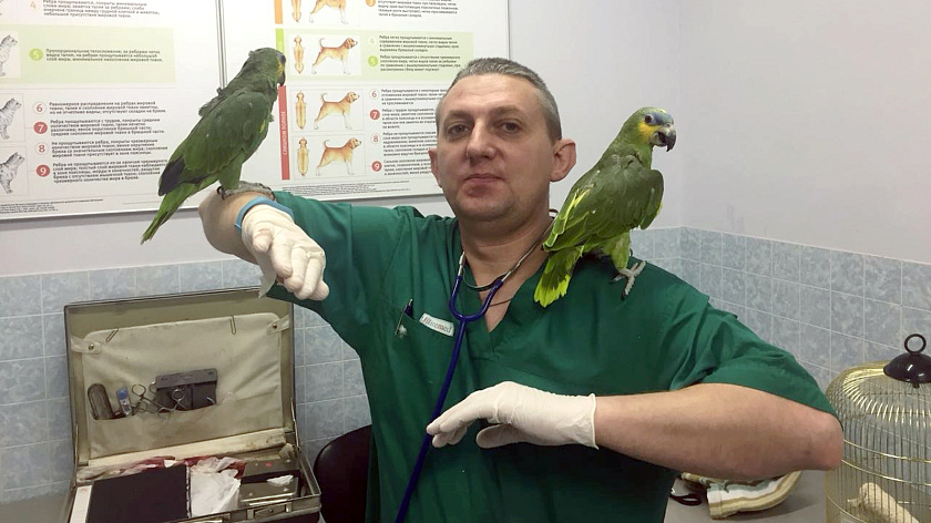 Орнитолог объяснил, почему птицы поют