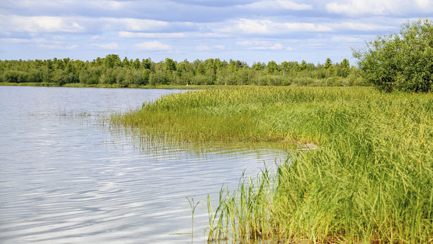 Фото: Ноябрьск. Официально
