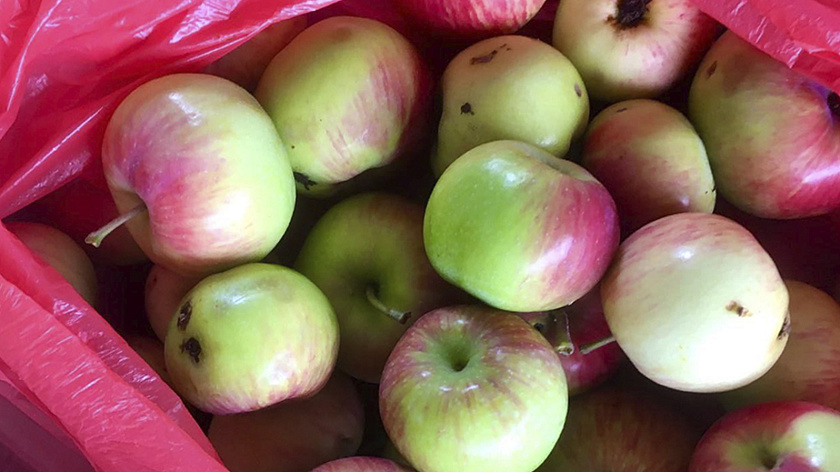 В Минздраве предрекли эпидемию ожирения к 2030 году  