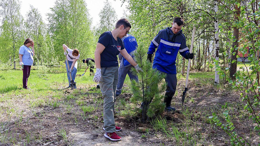 Фото: Telegram | Дмитрий Жаромских