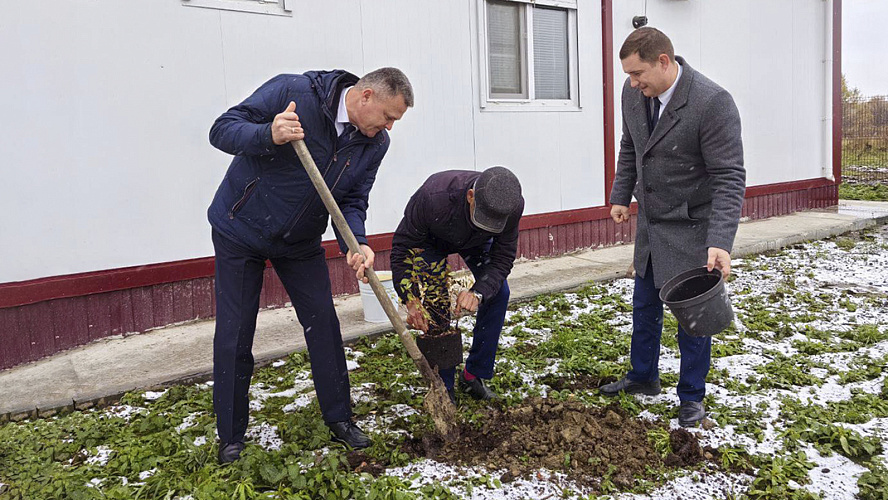 Фото: Tелеграм | Здравоохранение Тюменской области