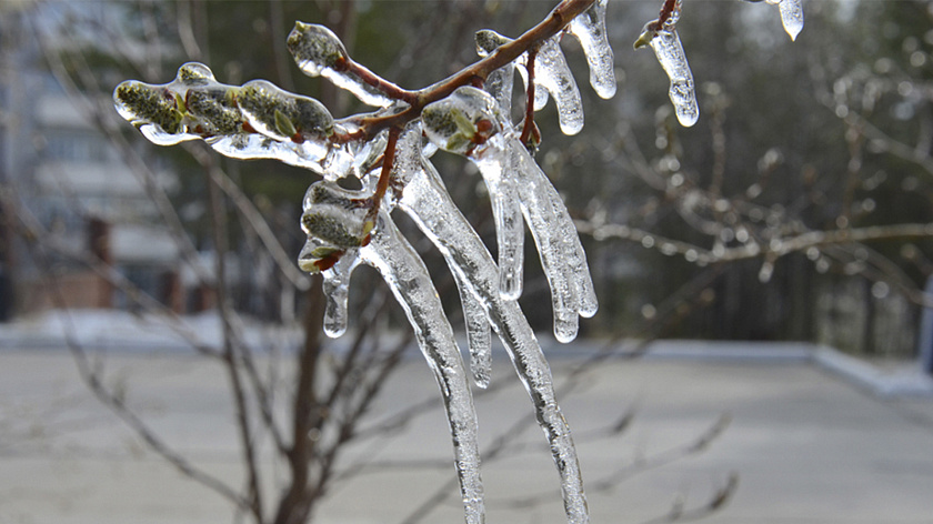 В Свердловской области 9 апреля ожидаются дождь и мокрый снег 